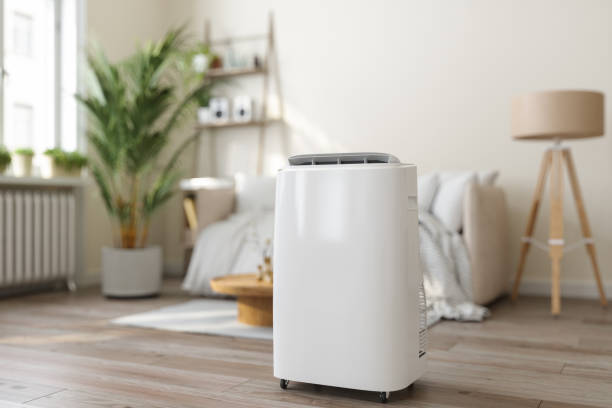 Best Ductless Mini-Split Systems in Ray City, GA